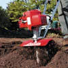 Tillers 10080548