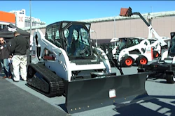 Bobcatstill 10243553