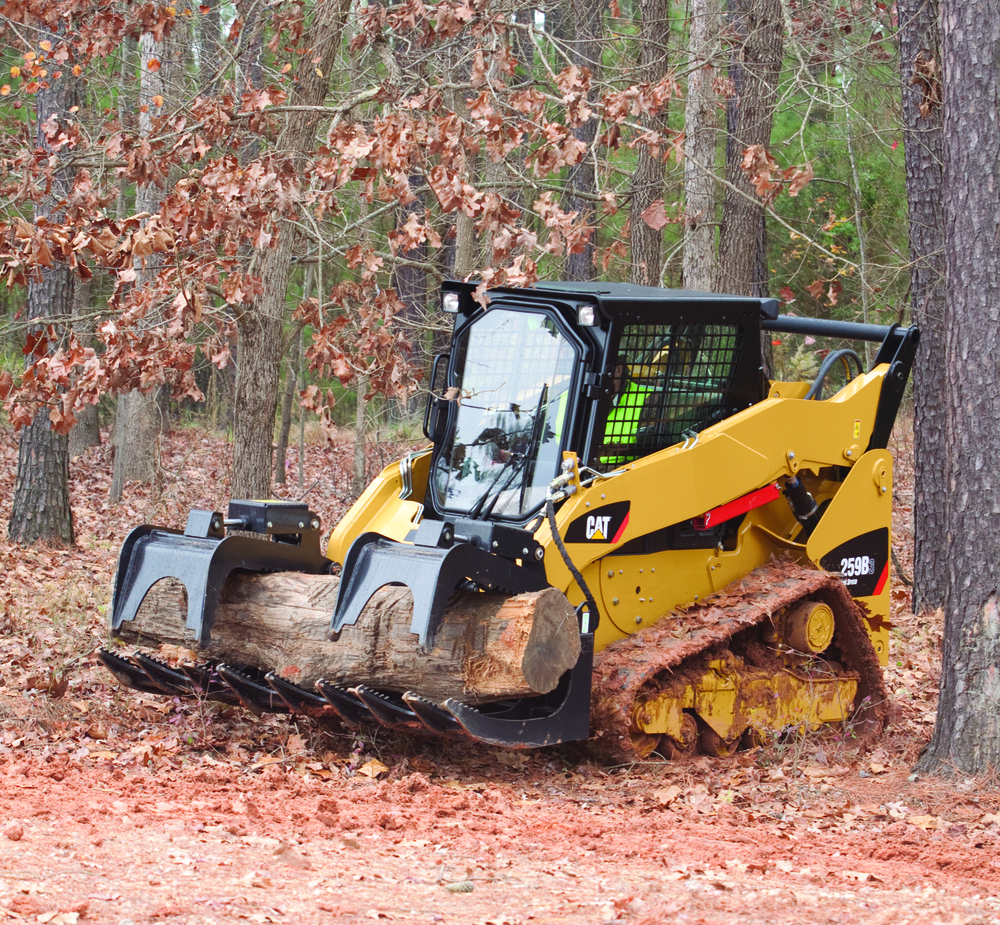 Cat259bskidsteer 10263828