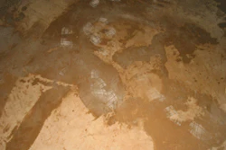 Bob Harris repaired a stained overlay done so poorly by the original contractor there were footprints in the sealer. The homeowners were so pleased with Bob's removal and rework they referred him to several friends.