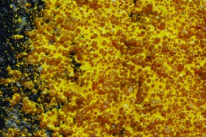 Embedded glass beads in pavement markings offer increased safety by increasing the retro-reflectivity of the marking, making it more visible to the viewer.