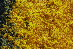 Embedded glass beads in pavement markings offer increased safety by increasing the retro-reflectivity of the marking, making it more visible to the viewer.