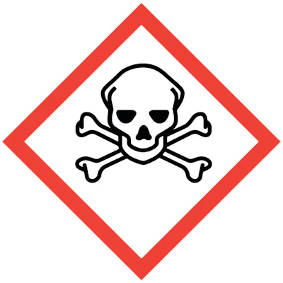Skull and Crossbones