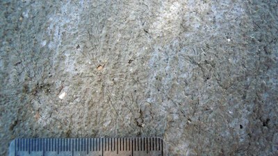 This sidewalk was placed in early winter in Wyoming and froze while it was fresh, forming ice casts marked by dark radiating lines. The sidewalk exhibited extensive scaling and deterioration in its first year of service. Scale is in millimeters.