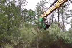 Video: Valley Tool Rockhound FX36 Defender Forestry Mulcher In Action