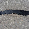 crack filler 563797768f8da