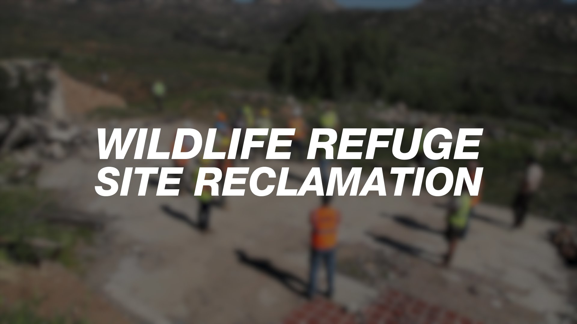 [Video] Team Rubicon and CASE Team Up for Wildlife Refuge Reclamation in San Diego