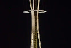Needle