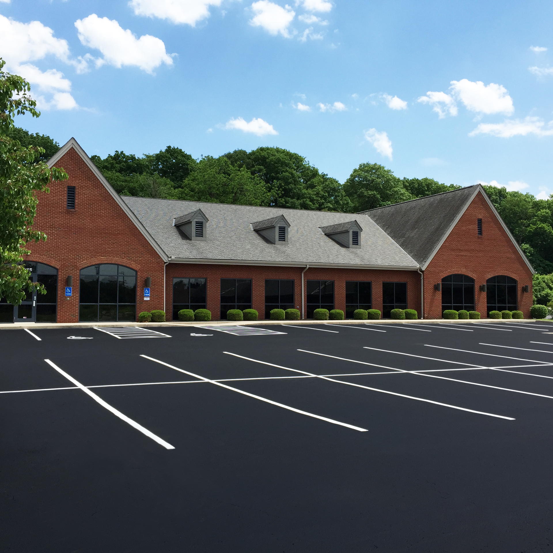 Finished Star Seal Professional Building psd