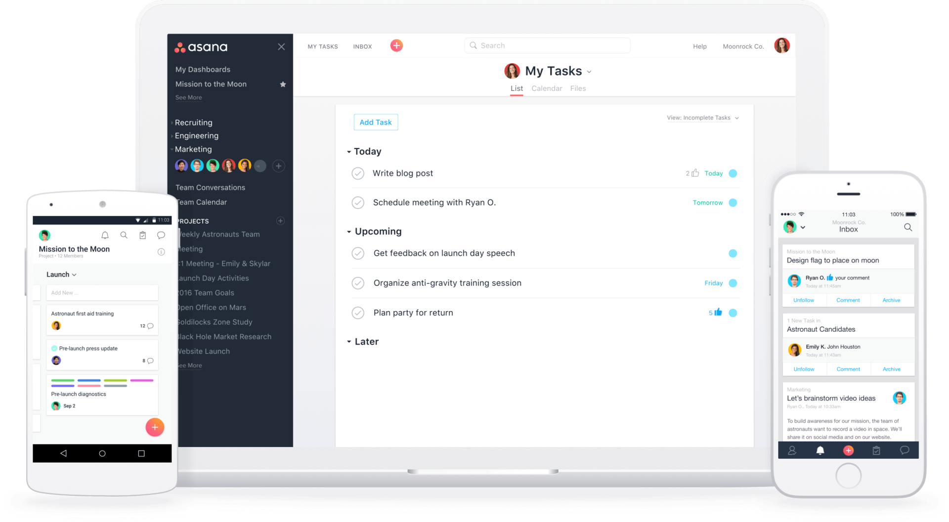 Asana App