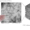 Purdue University researchers are ready to test whether they can make a stronger bridge by using concrete infused with microscopic nanocrystals from wood. The researchers have been working with cellulose nanocrystals, byproducts generated by the paper, bioenergy, agriculture and pulp industries.