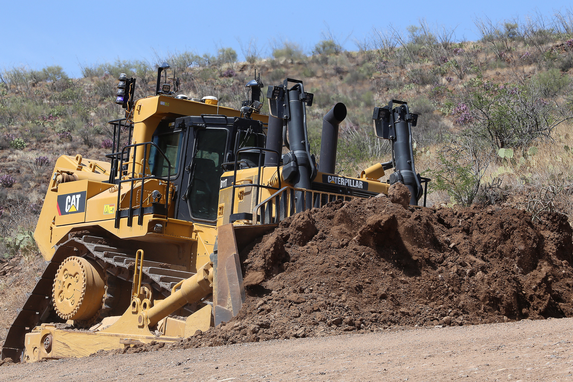Cat Dozer 1