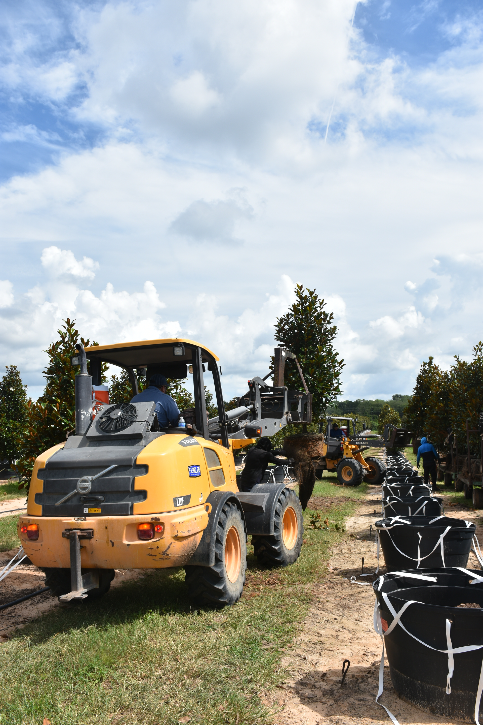 Two separate hydraulic systems - one for steering and one for work hydraulics - ensure sufficient oil flow to move and maneuver through the rows of trees and articulate or steer while lifting out tree boxes.