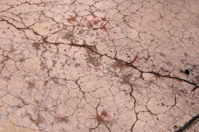 Surface cracking happens while the concrete is still fresh and before it undergoes initial set. Weather conditions not favorable to concrete are the primary cause. The best protection for contractors is to collect on-site ambient weather data and concrete temperatures and use the nomograph to predict whether cracking will occur.