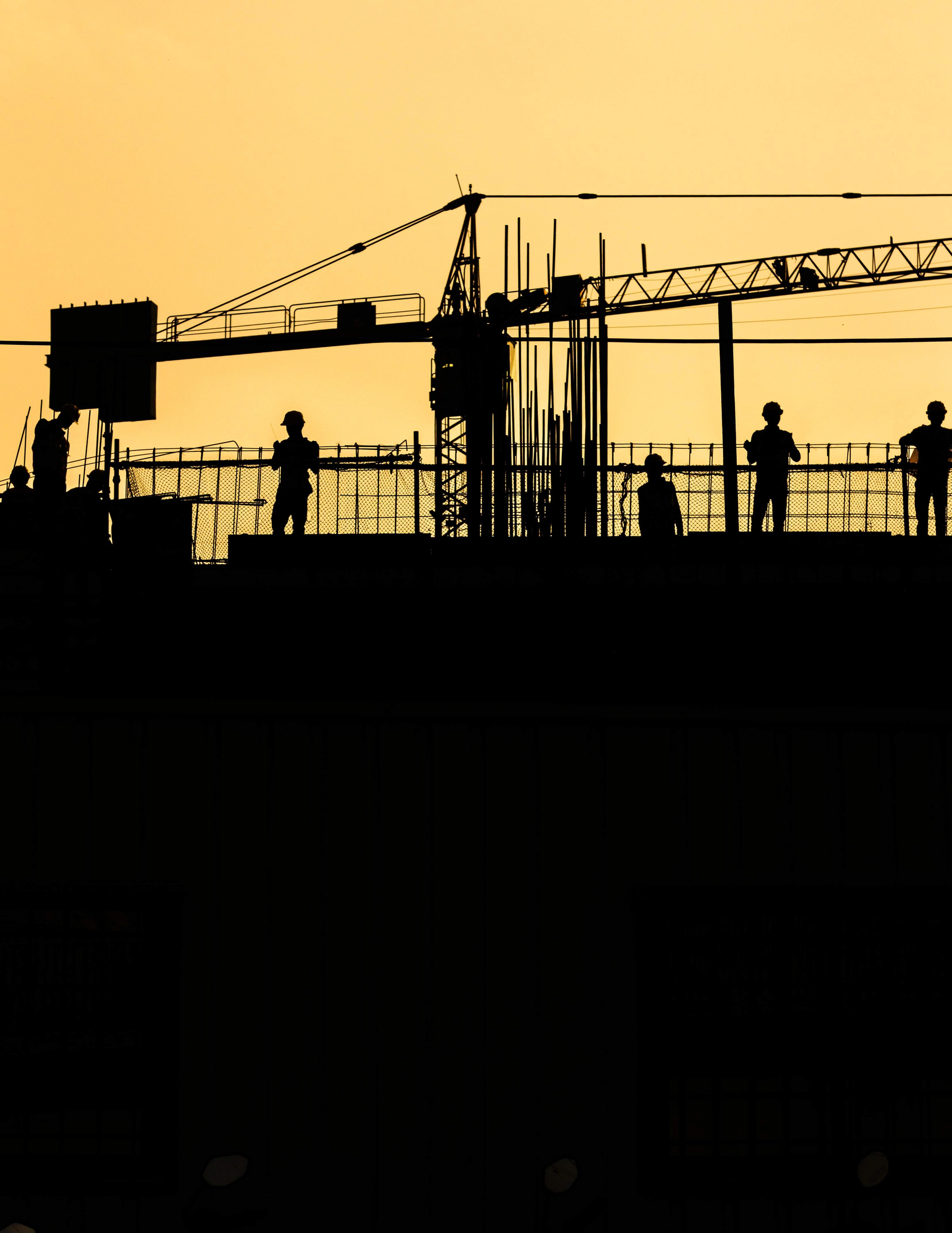 Photo by Shivendu Shukla on Unsplash