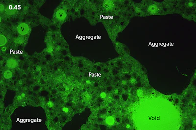 Figure 2. Fluorescent light photomicrograph of a thin section indicating aggregate particles, voids (v) and paste. The horizontal field width is ~ 1.5 mm.