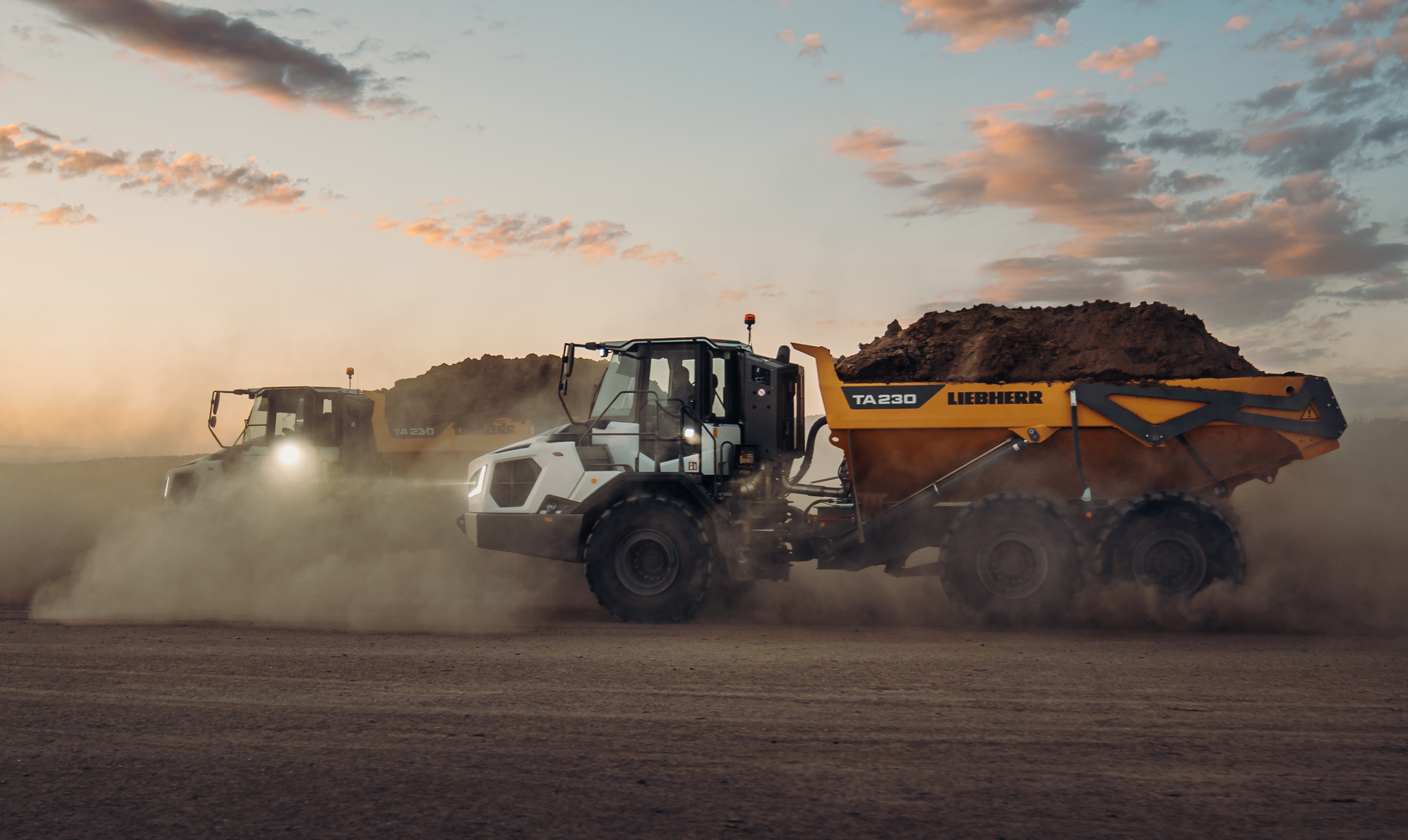 Liebherr Earth Moving 2020