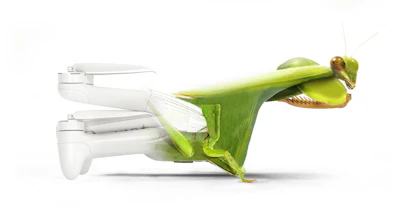 Parrot drone