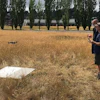 Parrot drone training
