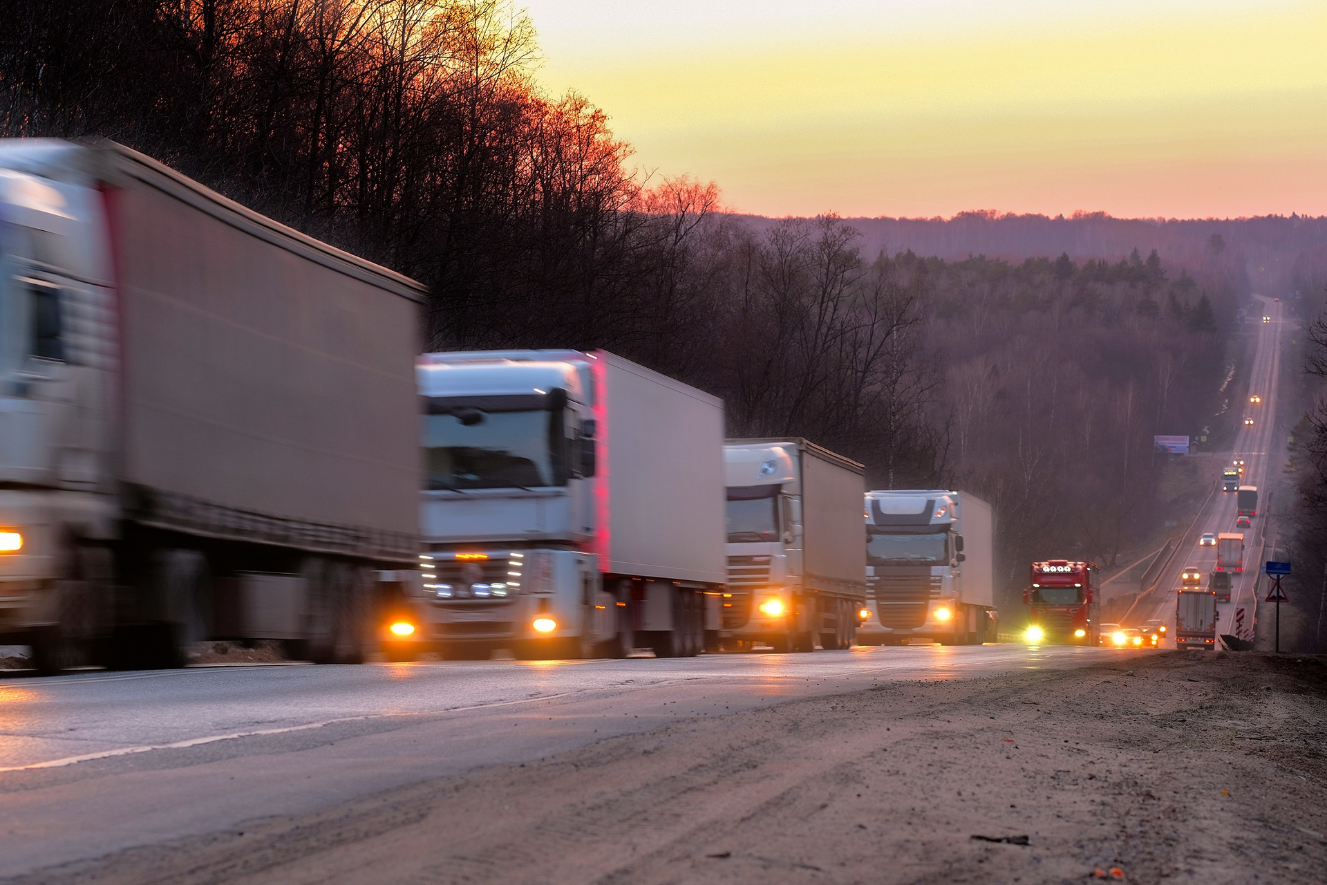 Global medium and heavy vehicle production is expected to decline by 10% this year primarily because of a drop in demand in China and Eastern Europe. However, a slowing global economy will also place pressure on demand moving forward.
