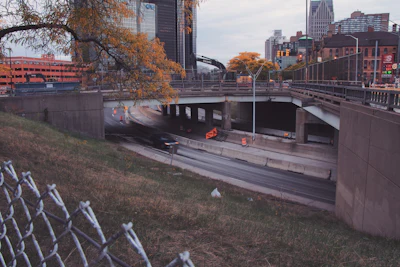 Bnoel I375 Curve