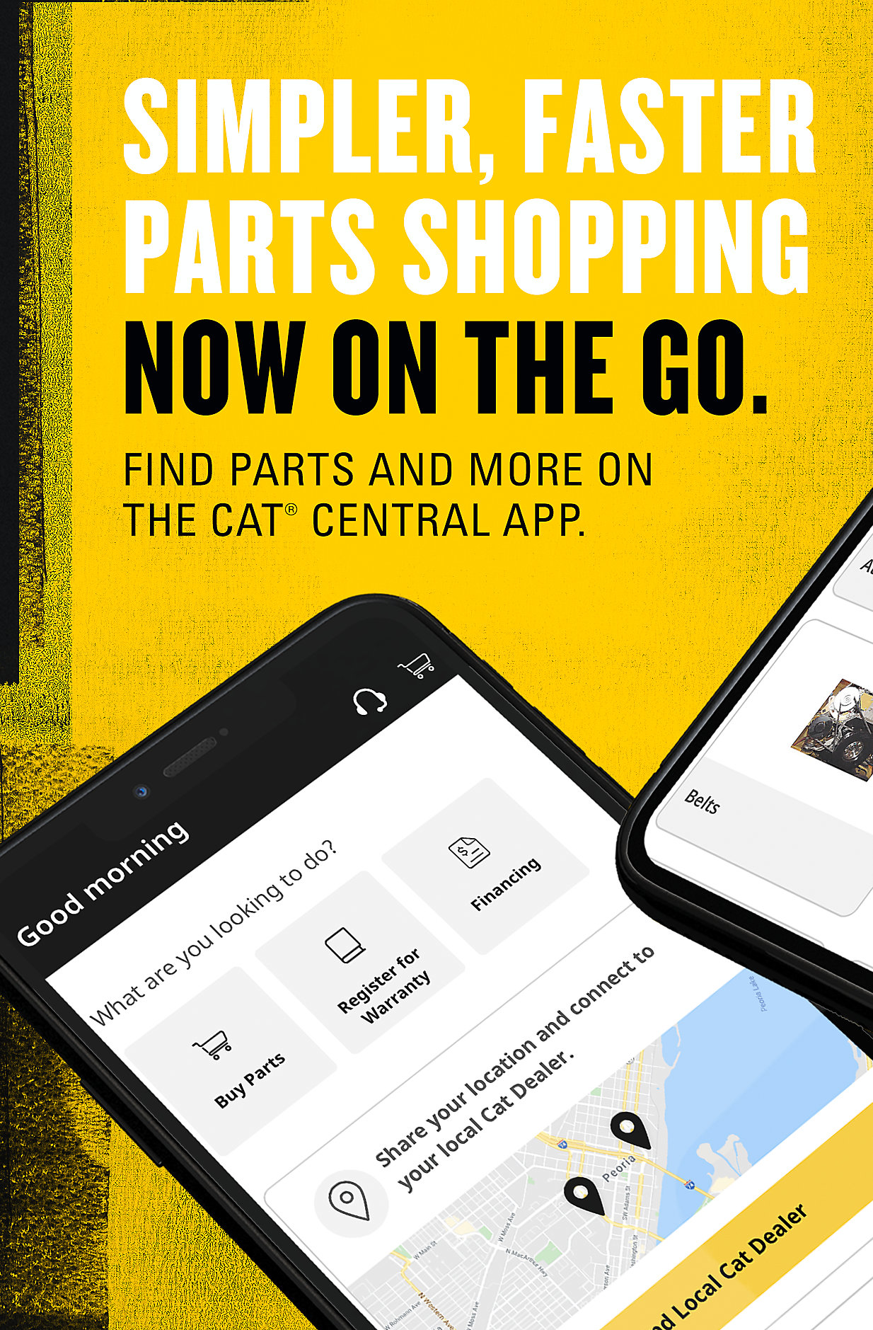 Cat App