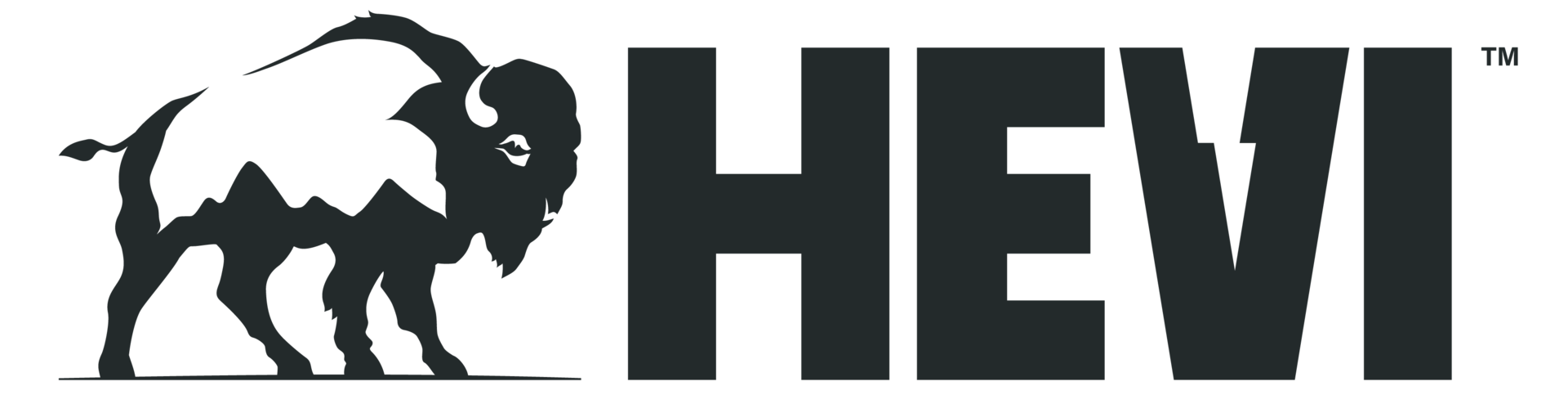 Hevi Logo Landscape