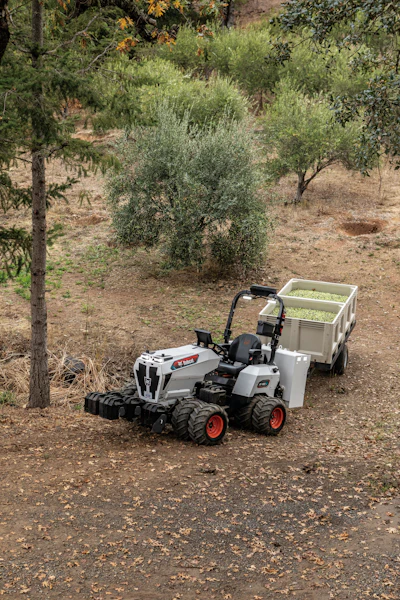 Bobcat At450x2