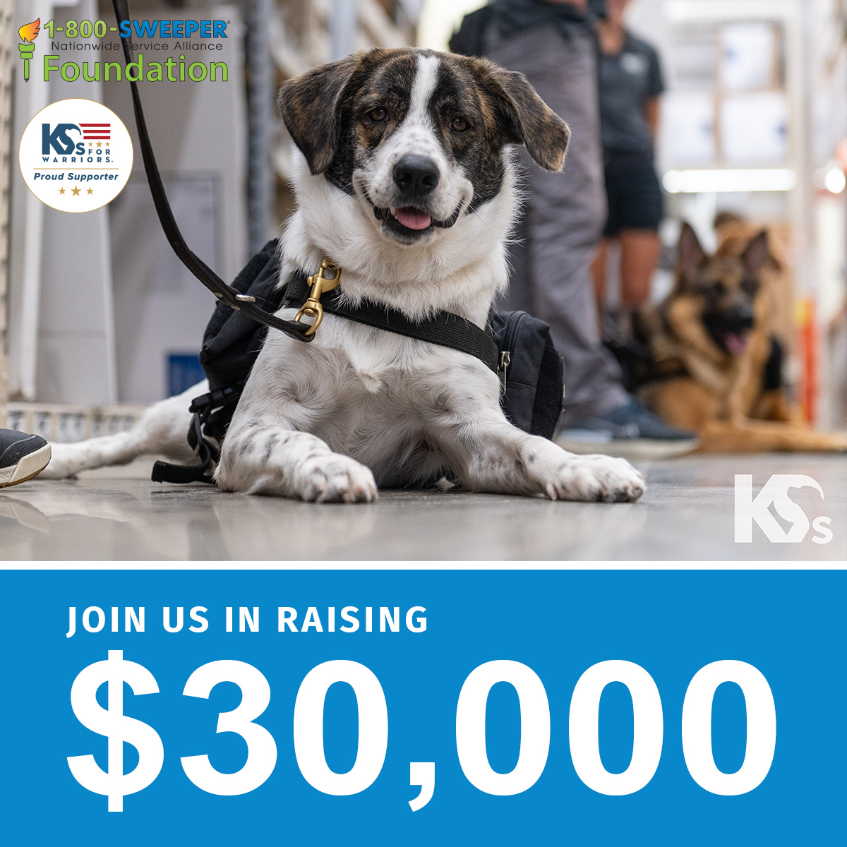 K9 Fundraising Campaign Social Pavement Maintenance Post