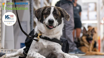 K9 Fundraising Campaign Social Pavement Maintenance Post
