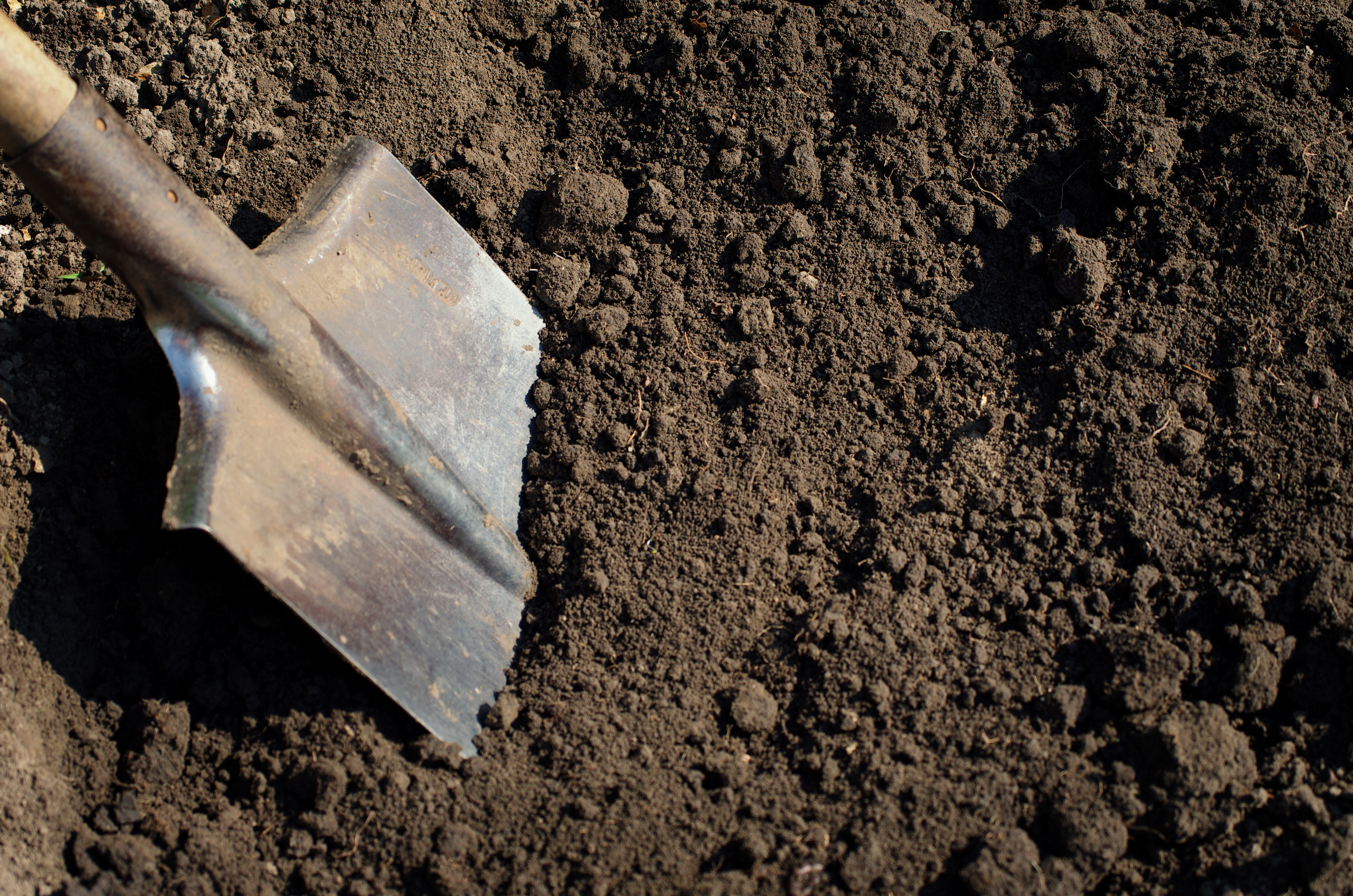 Worn metal garden shovel resting on dark, textured soil