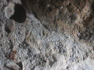 Textured rocky surface with intricate geological formations in gray and beige tones