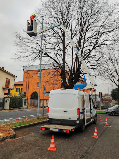 Utility worker in elevated bucket truck trimming tree branches near urban street