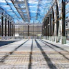 Interior of large industrial greenhouse with metal framework, blue plastic roof panels, concrete pillars, and paved flooring