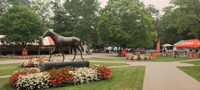 Bronze horse statue surrounded by red and white flowers at an outdoor equestrian event venue with tents and trees