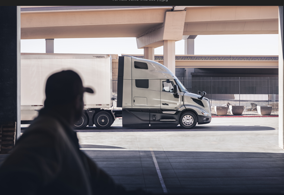 Silhouetted person viewing white commercial truck parked beneath highway overpass in industrial setting
